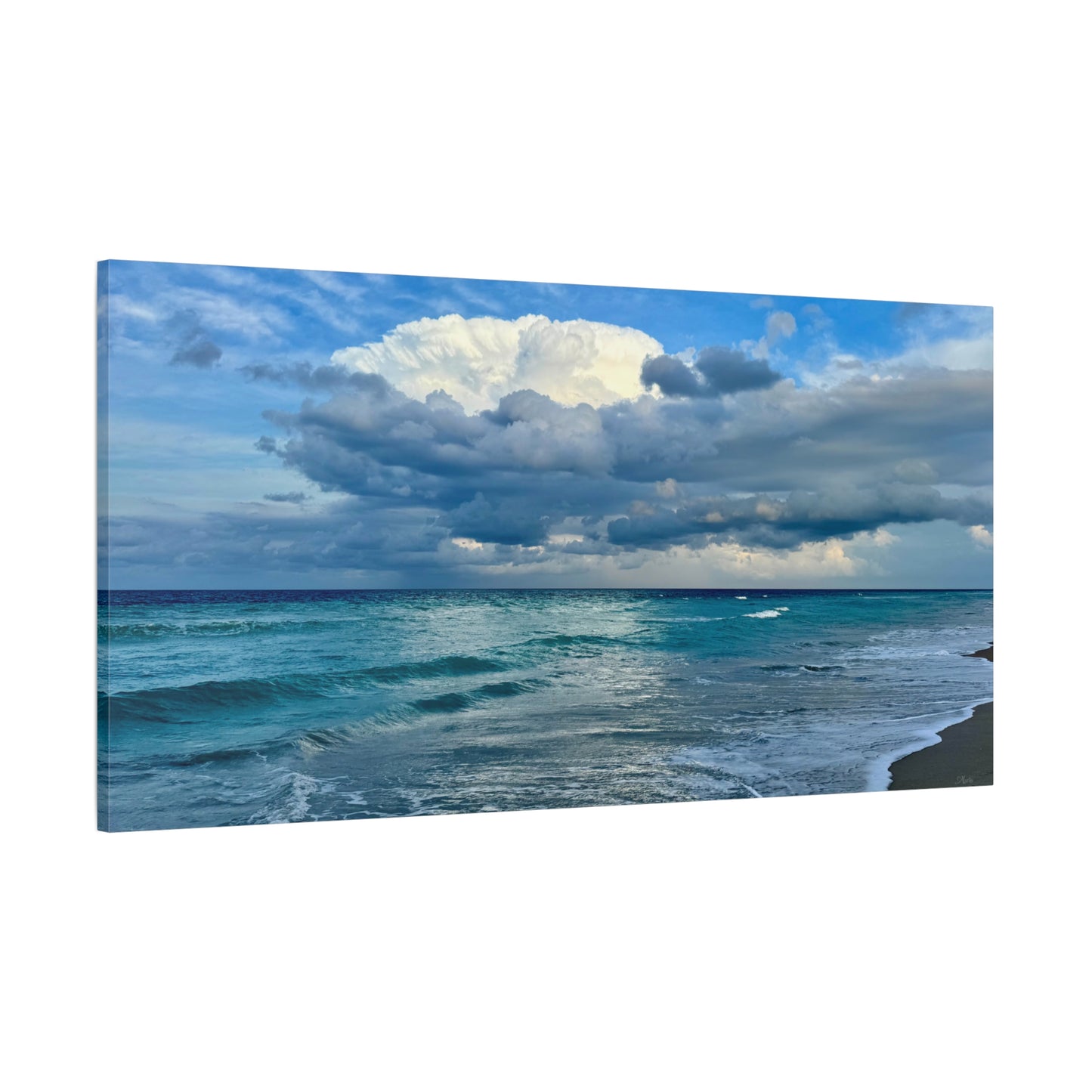 Between Tides · Florida · Canvas