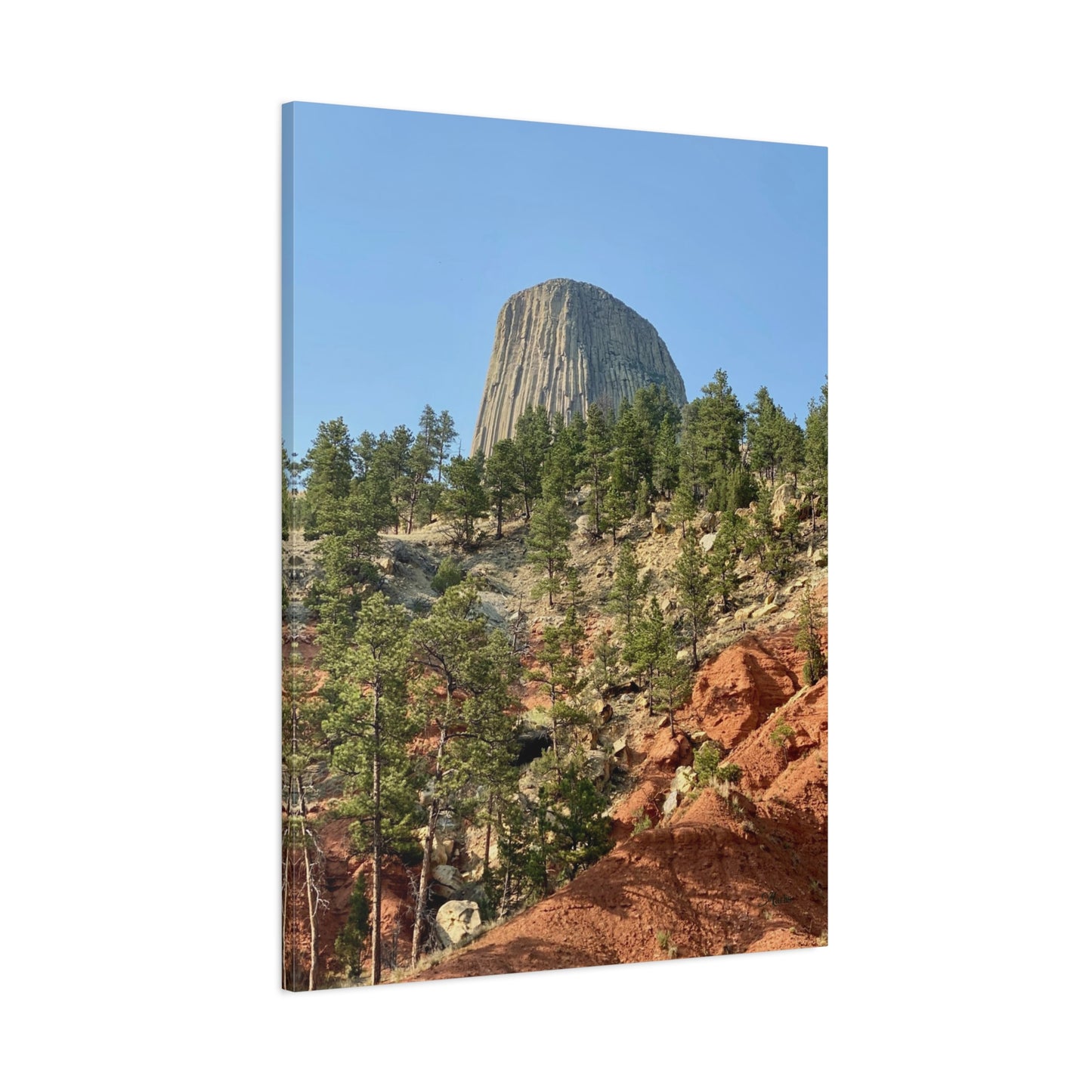 Devils Tower National Monument Wyoming Canvas Wall Art