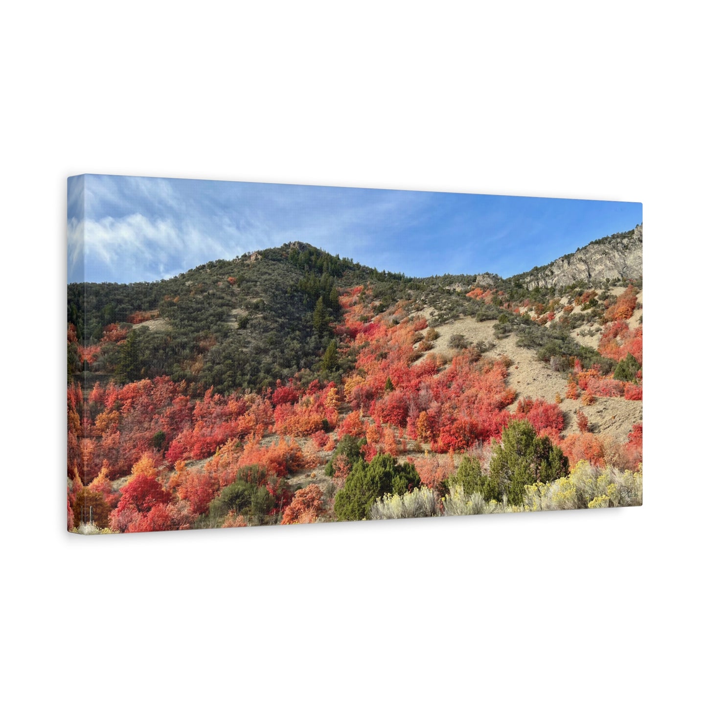 Autumn Blaze Weston Canyon Idaho Canvas Wall Art