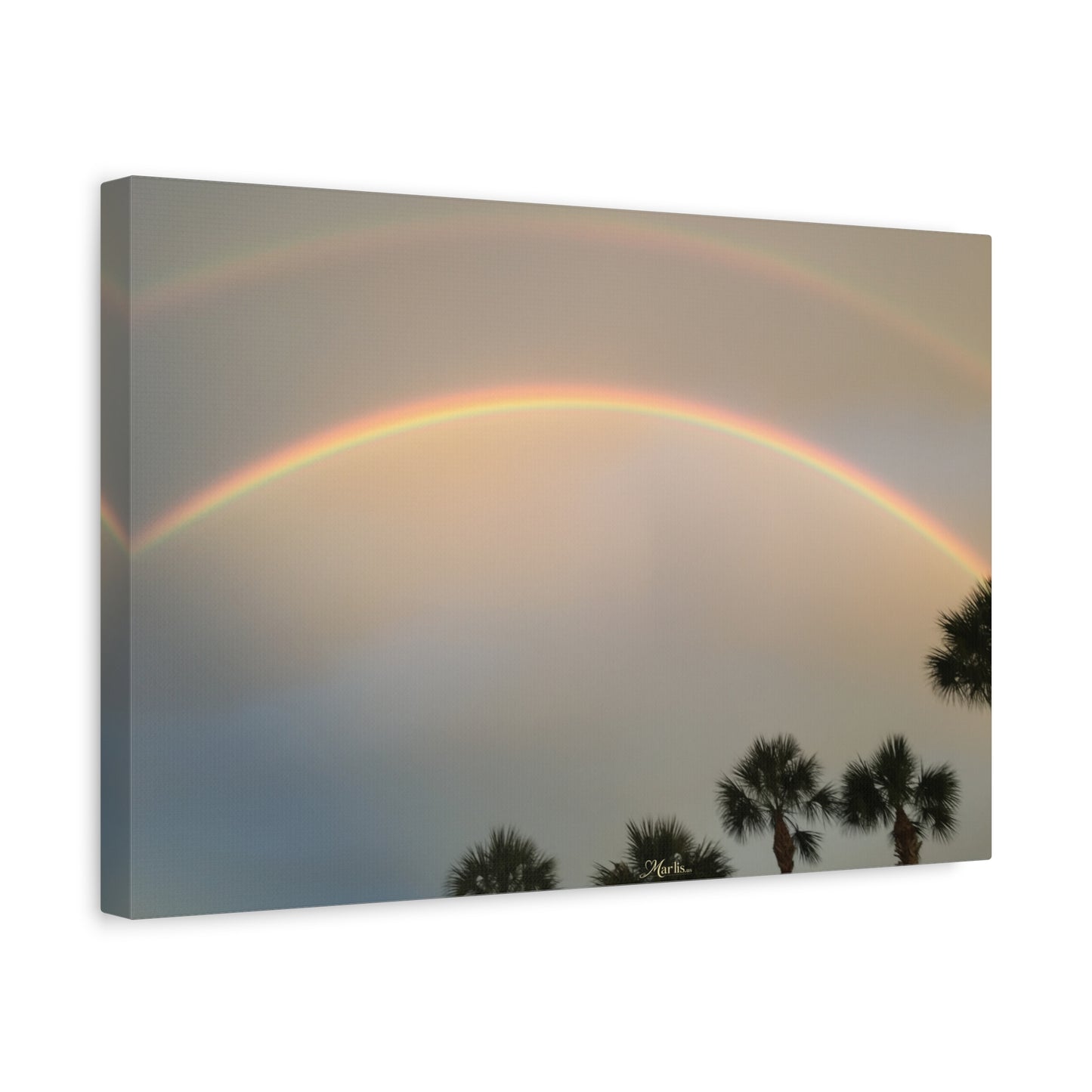 Double Rainbow Palm Florida Canvas Wall Art
