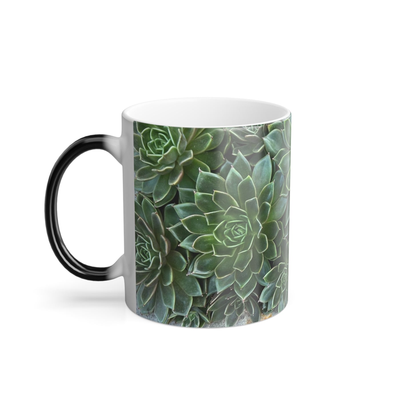 Hidden Succulents Color Morphing Mug