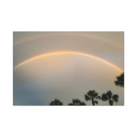 Double Rainbow Palm Florida Canvas Wall Art
