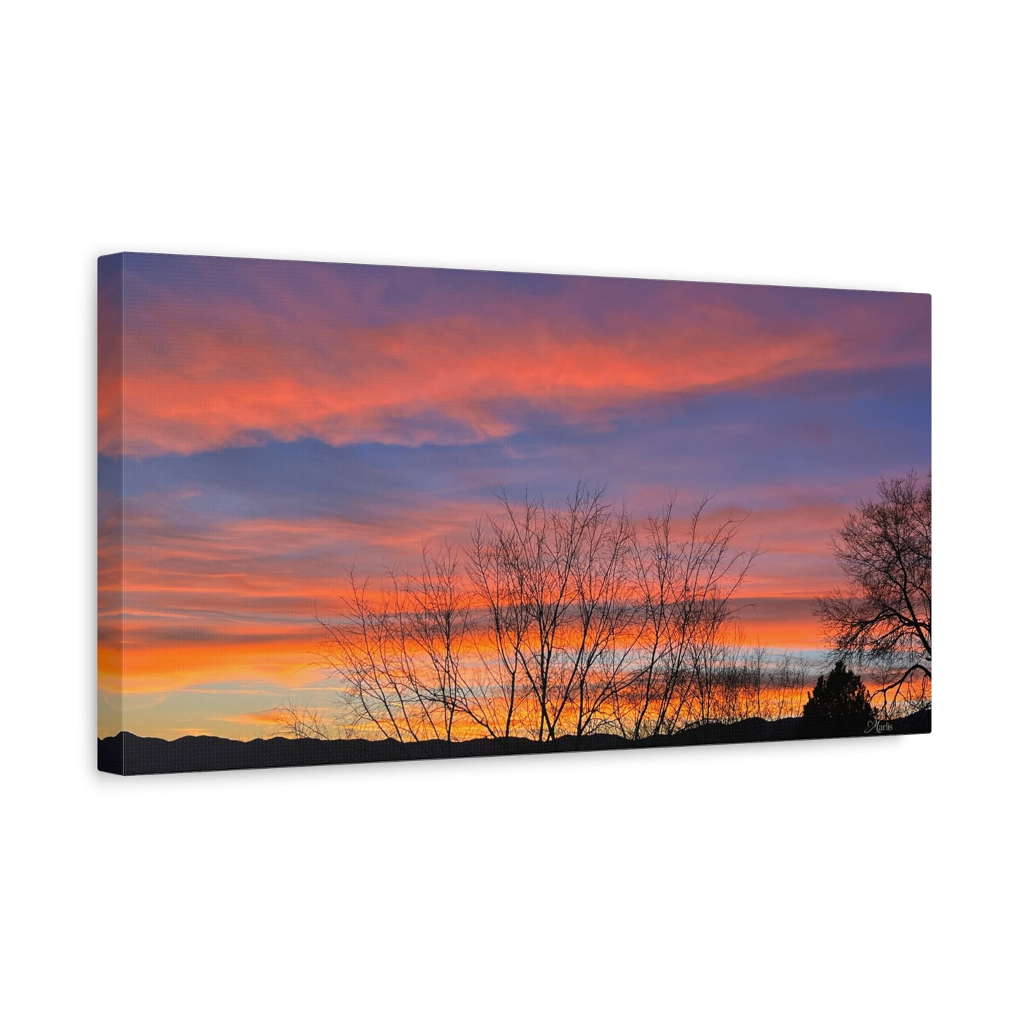 Sunset Silhouette · Idaho · Canvas