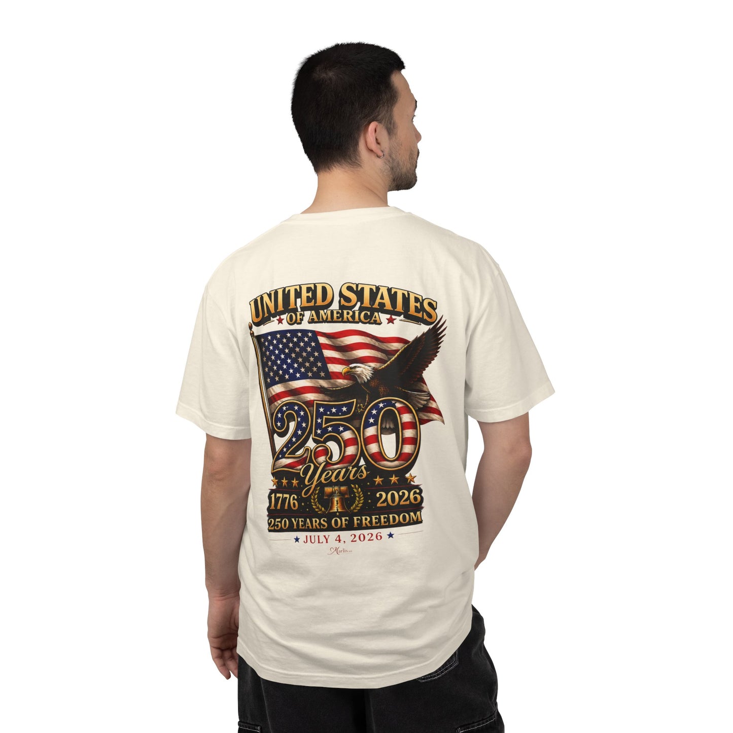 America 250 Vintage Anniversary Back Design Graphic Comfort Colors Tee