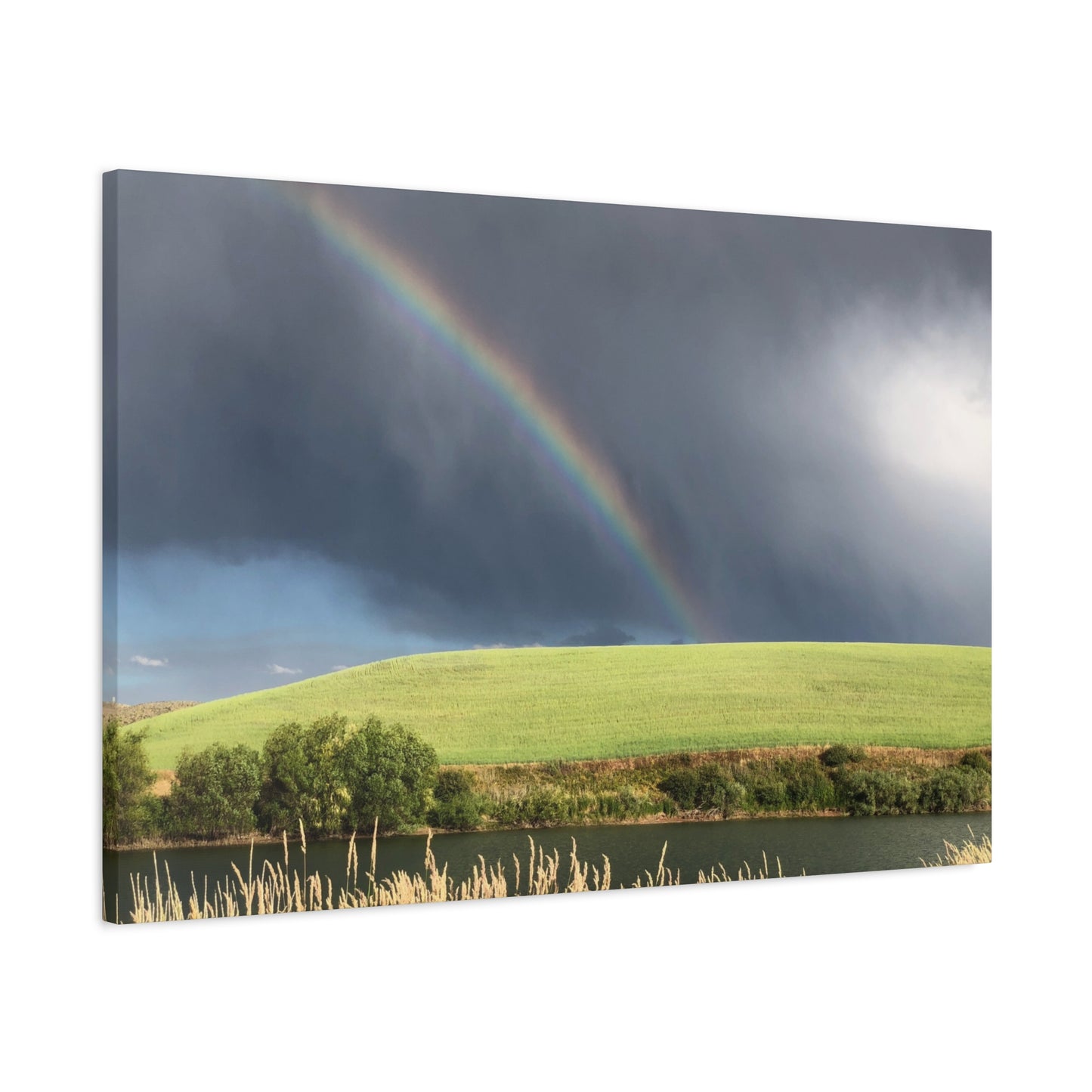 Between Places | Rainbow | Canvas