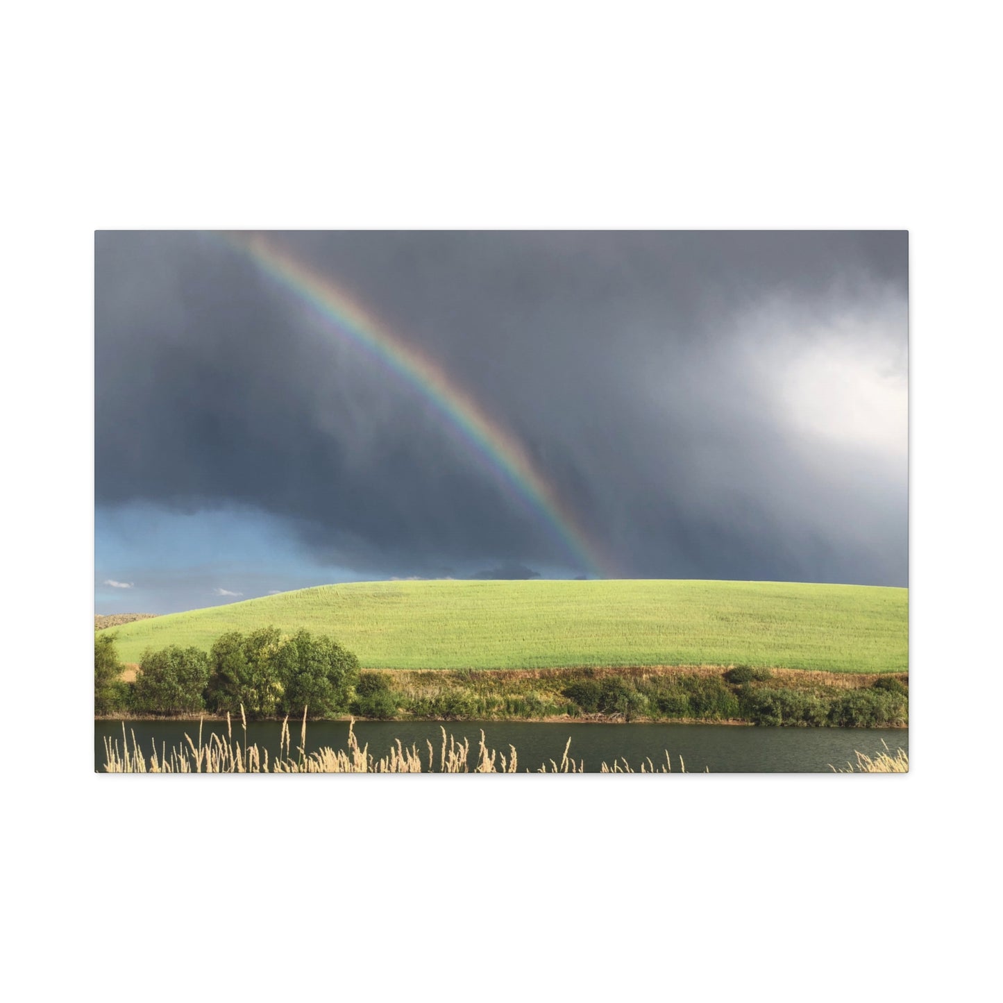 Between Places | Rainbow | Canvas