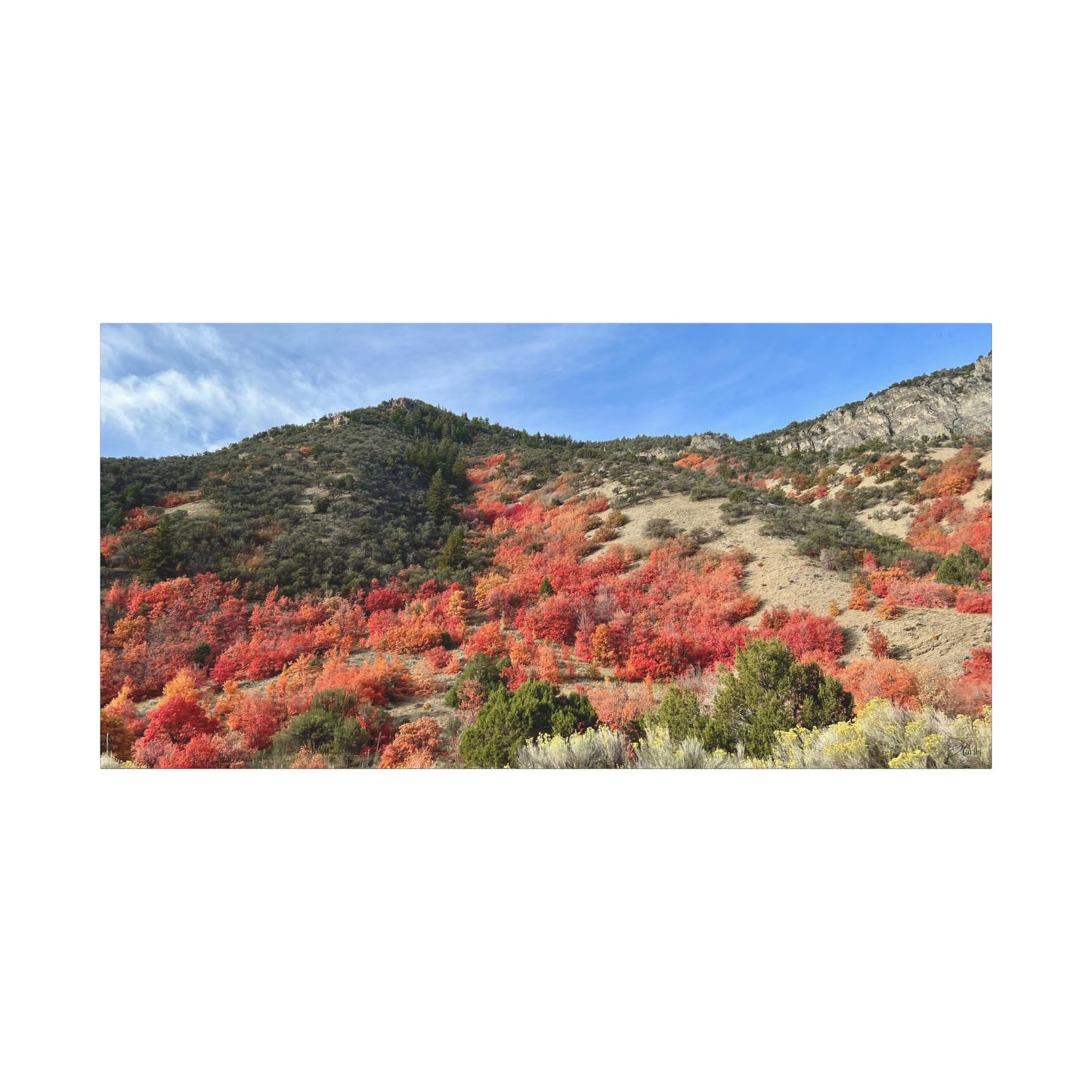 Autumn Blaze Weston Canyon Idaho Canvas Wall Art