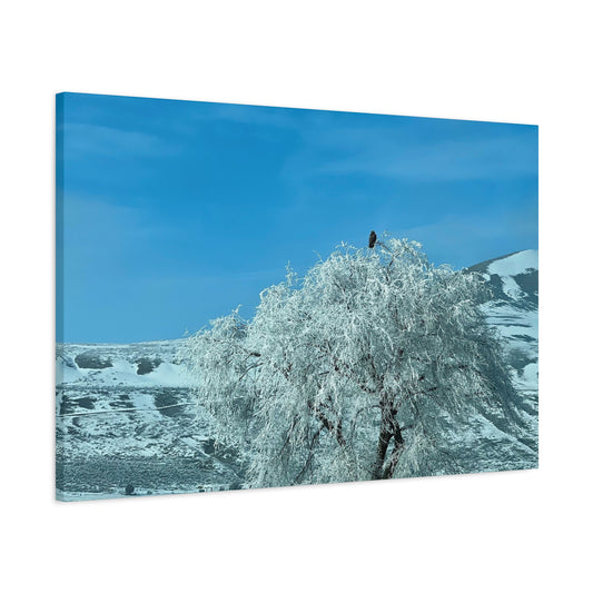 Frosted Tree Winter Landscape Matte Canvas