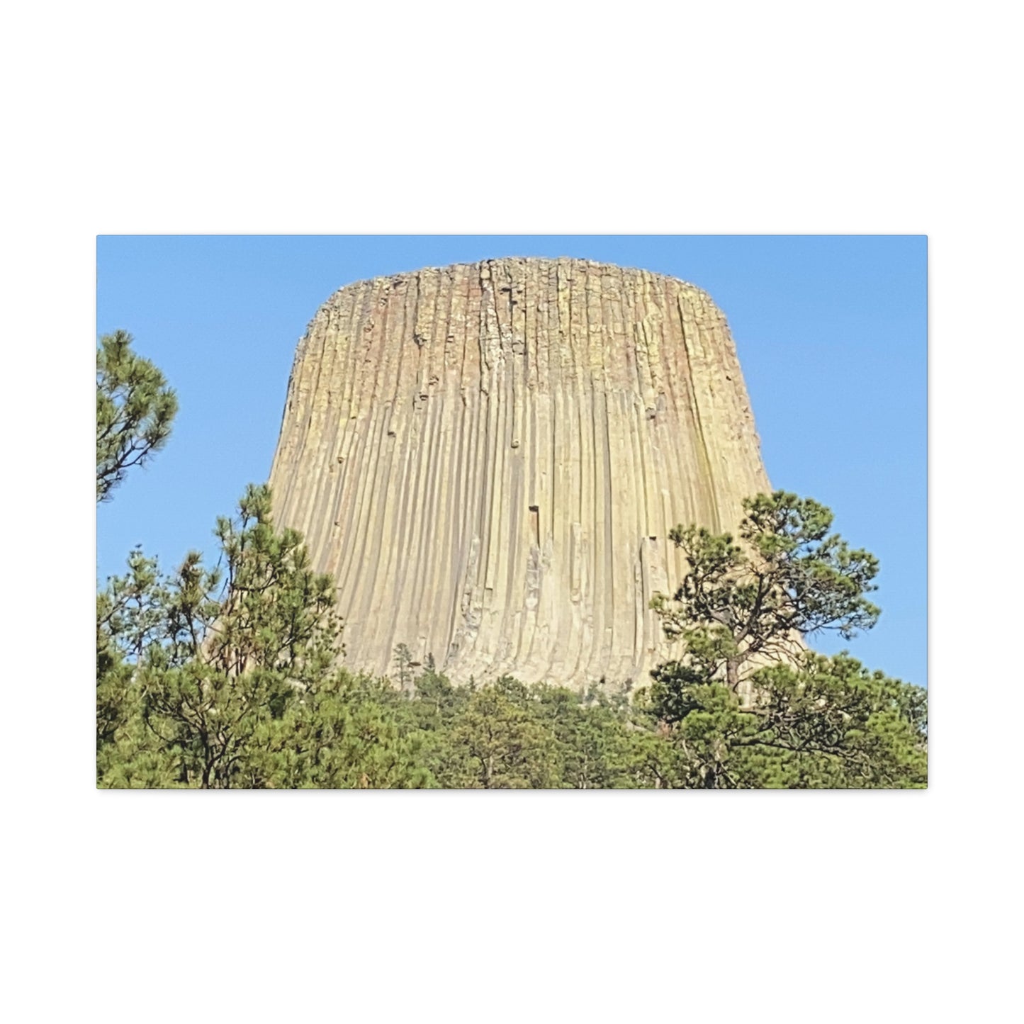 Devils Tower Wyoming Canvas Wall Art