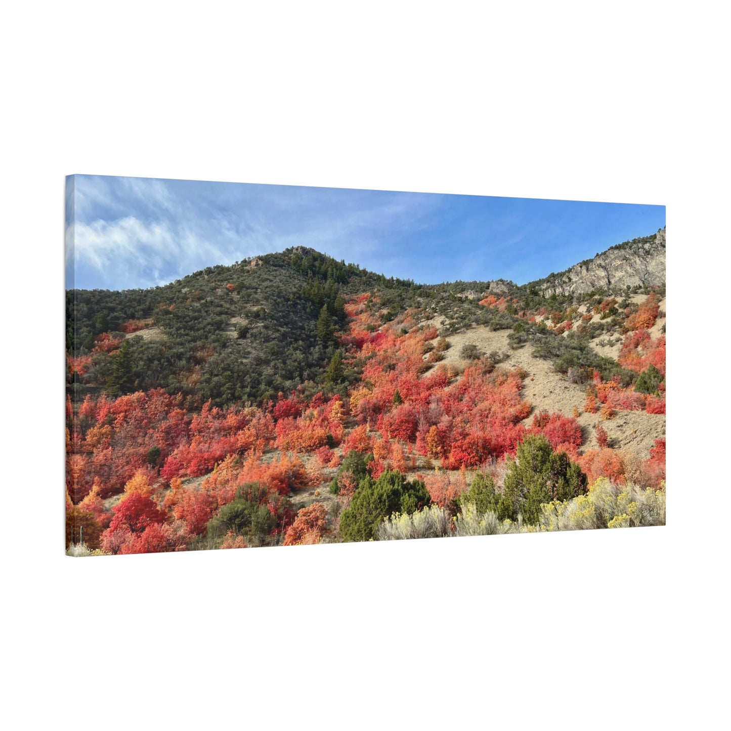 Autumn Blaze Weston Canyon Idaho Canvas Wall Art