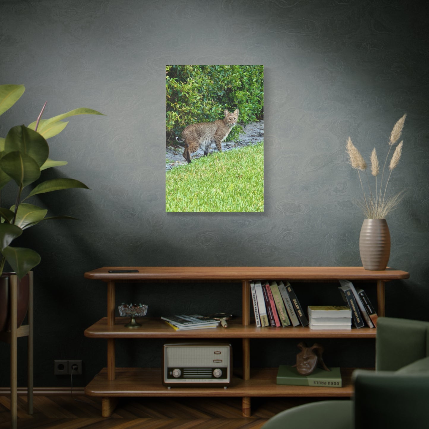Urban Bobcat · Florida · Fine Art Canvas