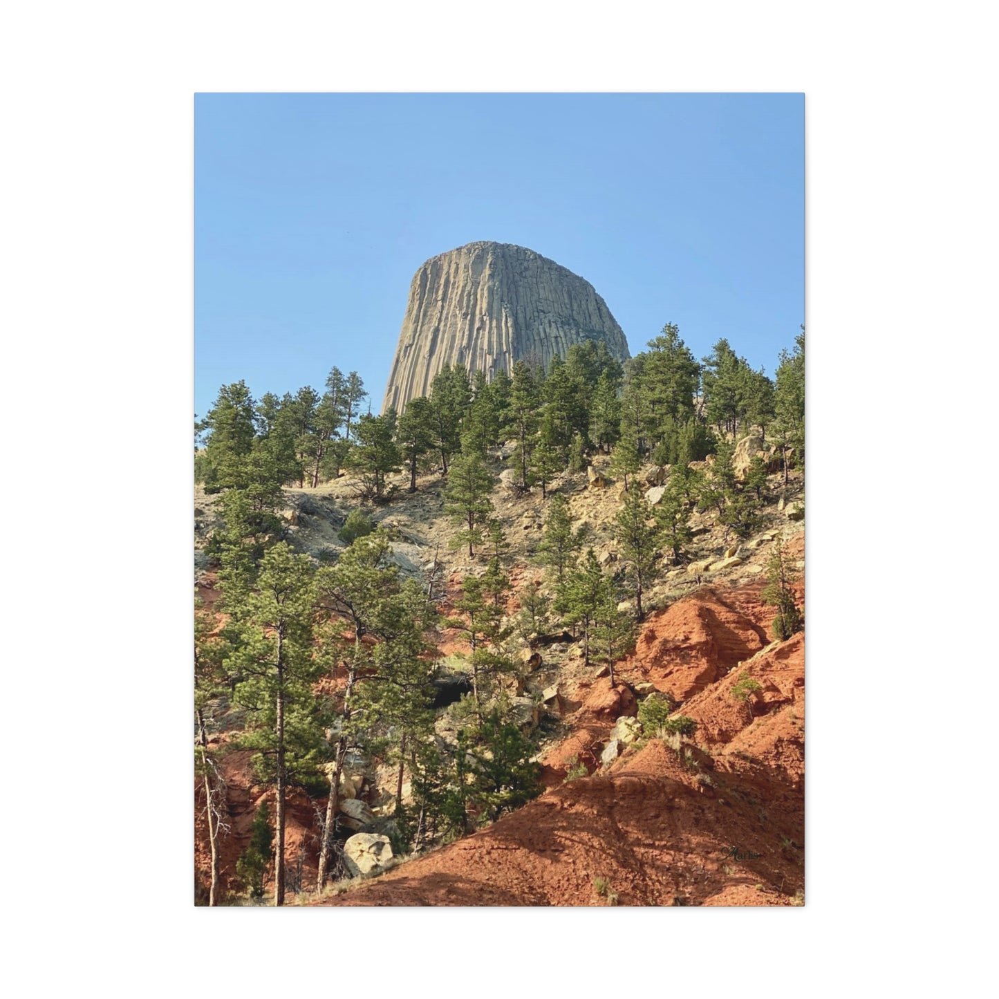 Devils Tower National Monument Wyoming Canvas Wall Art