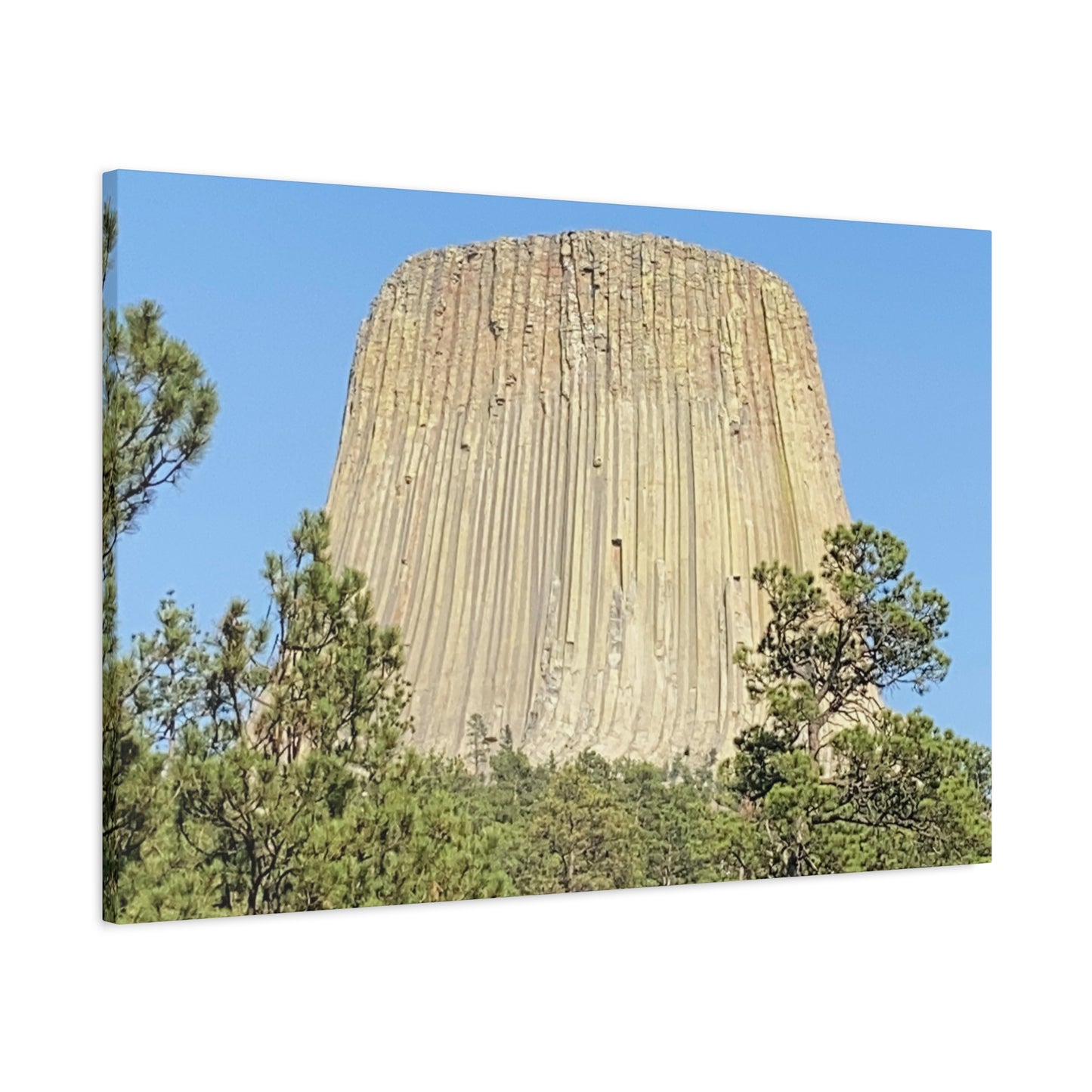 Devils Tower Wyoming Canvas Wall Art