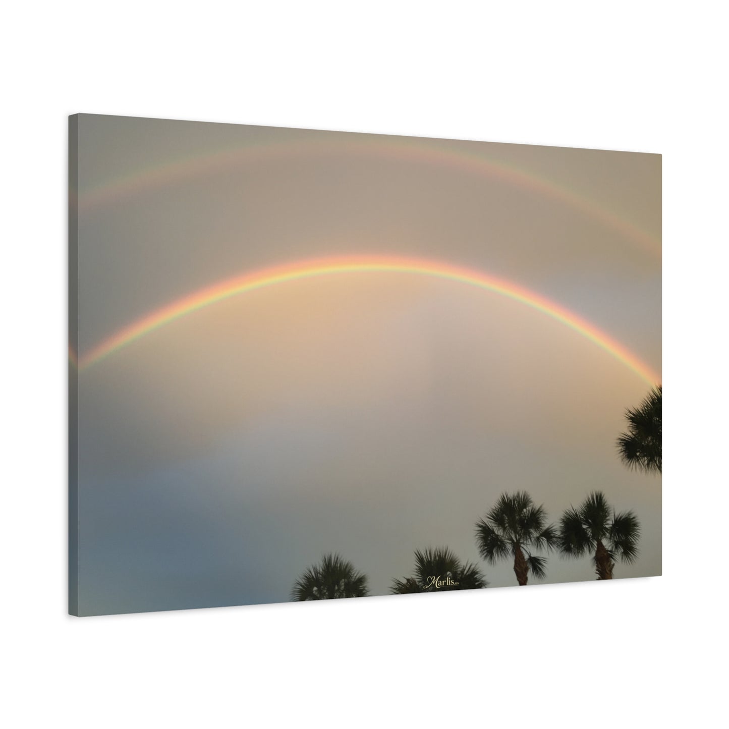 Double Rainbow · Florida · Fine Art Canvas