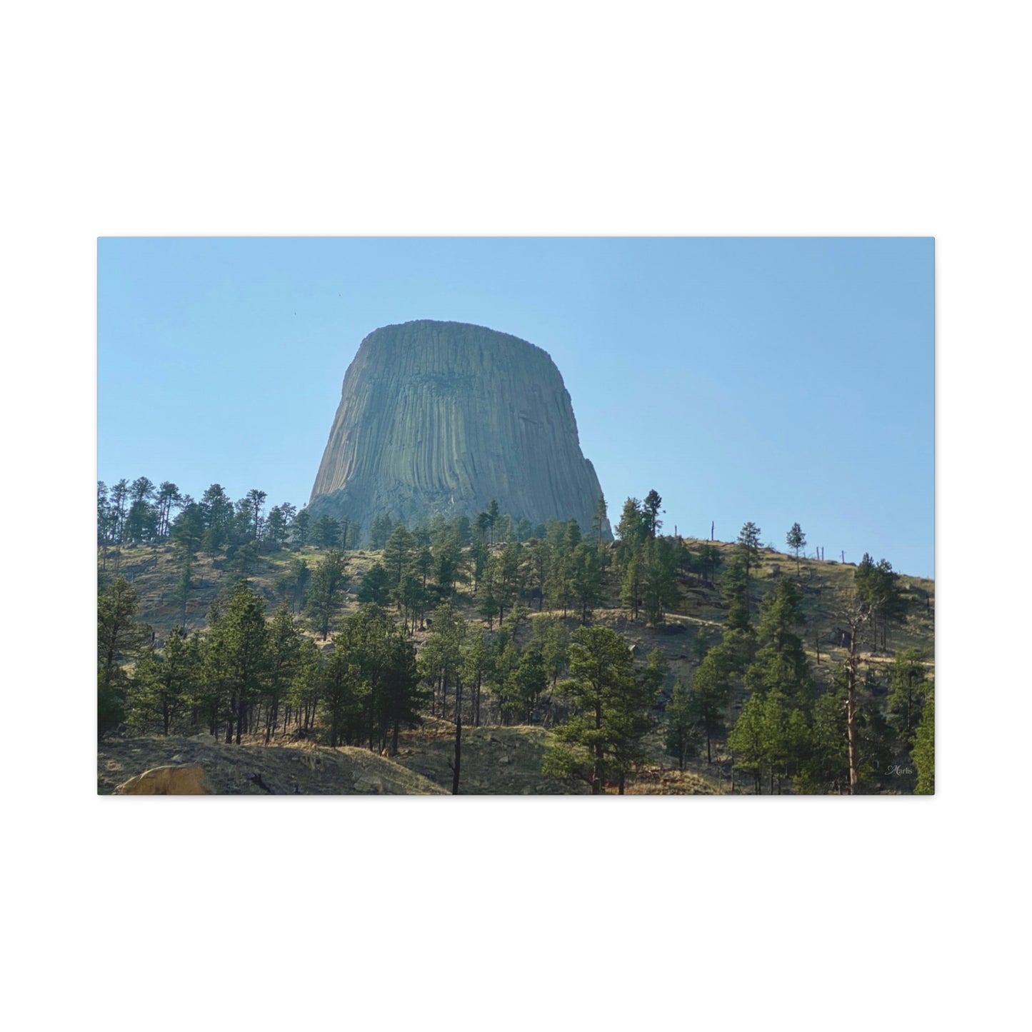 Devils Tower Wyoming Canvas Wall Art