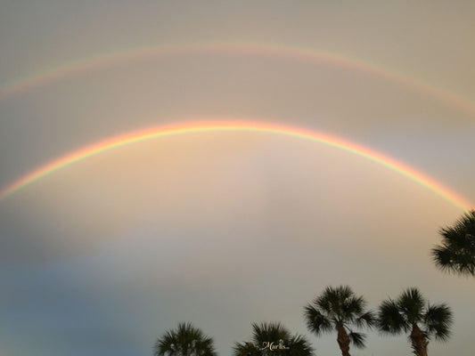 Double Rainbow · Florida · Fine Art Canvas