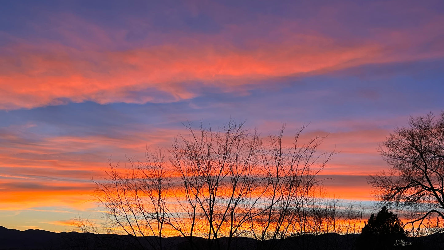 Sunset Silhouette · Idaho · Canvas