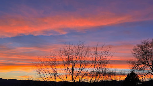 Sunset Silhouette · Idaho · Canvas