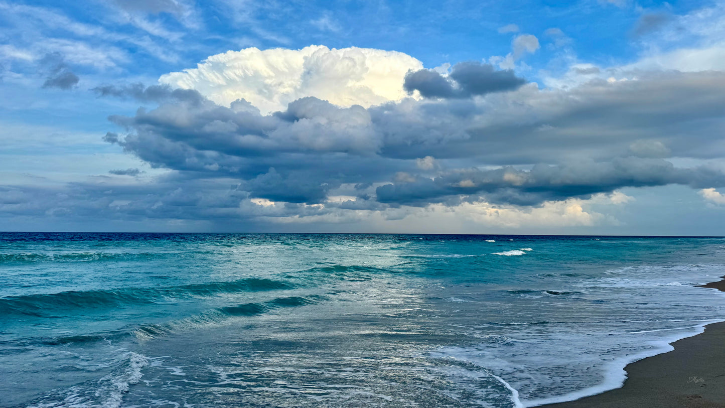 Between Tides · Florida · Canvas