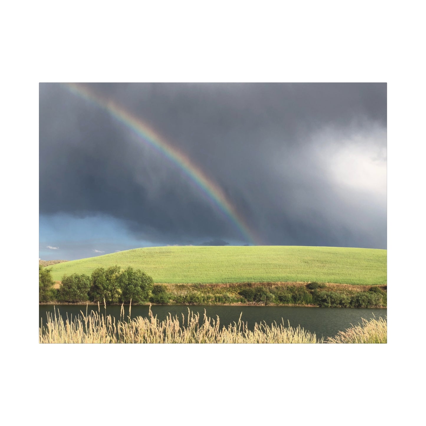 Between Places | Rainbow | Canvas