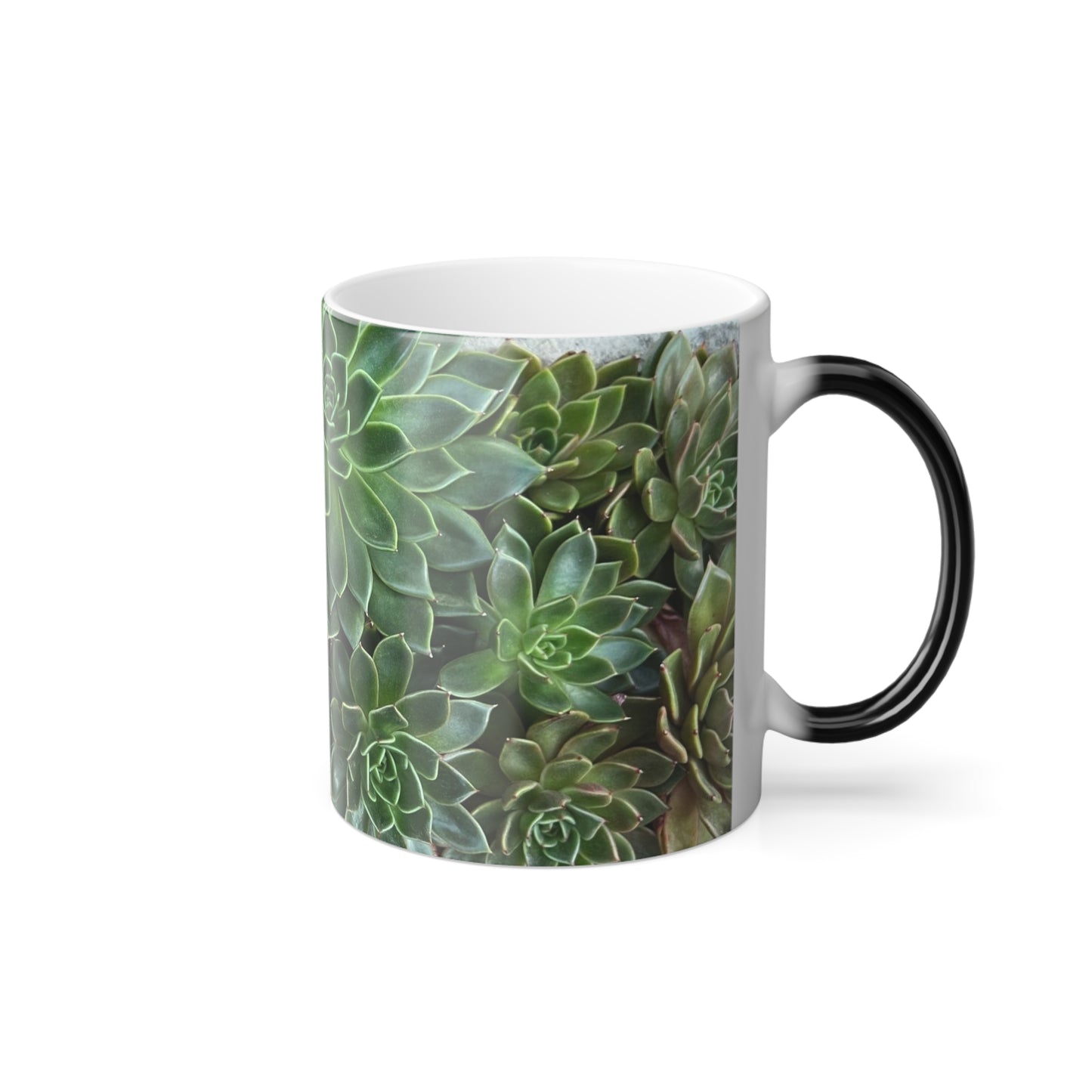 Hidden Succulents Color Morphing Mug