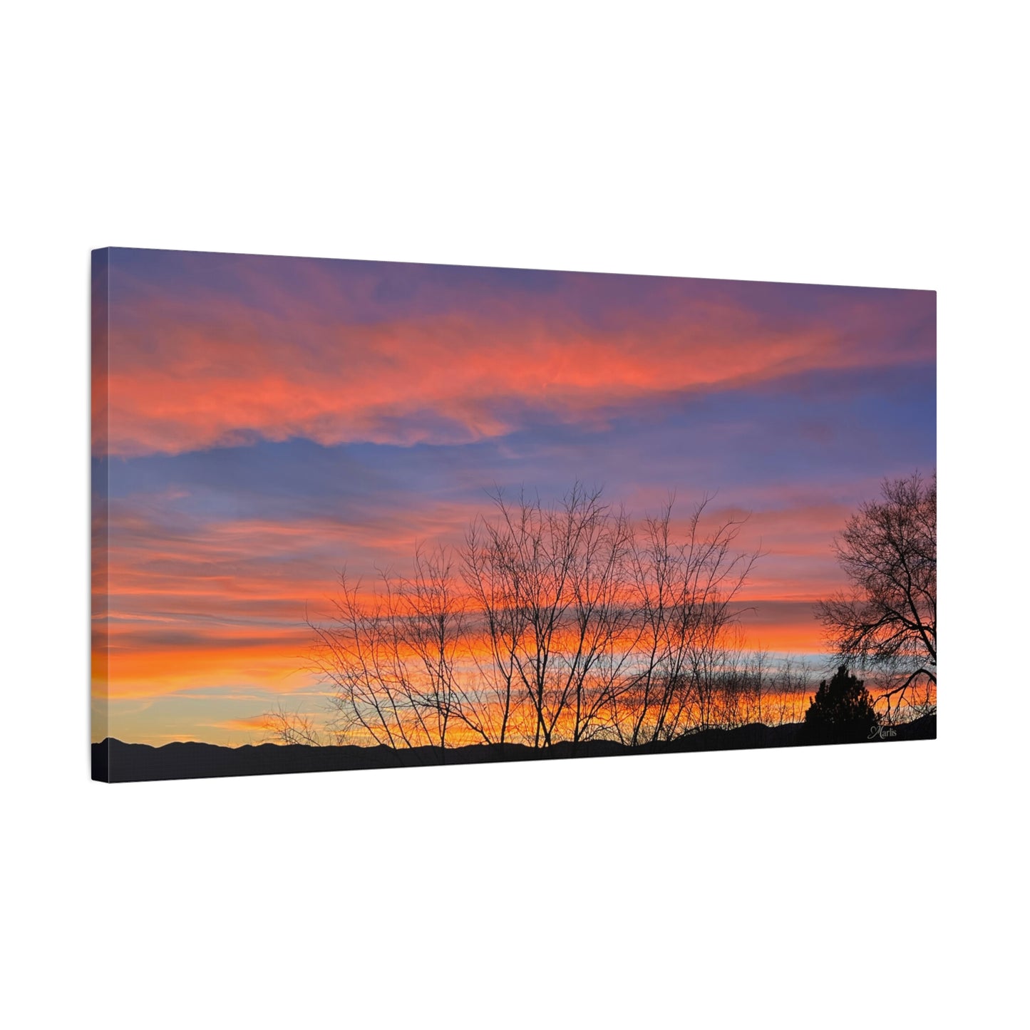 Sunset Silhouette · Idaho · Canvas