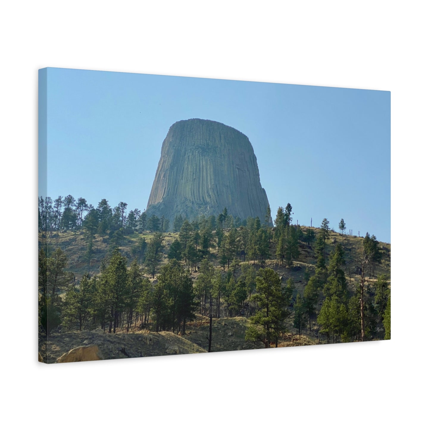 Devils Tower Wyoming Canvas Wall Art