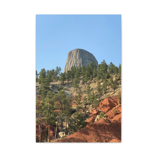 Devils Tower Pines · Wyoming · Fine Art Canvas