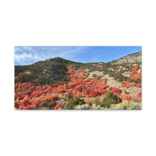 Autumn Blaze Weston Canyon Idaho Canvas Wall Art