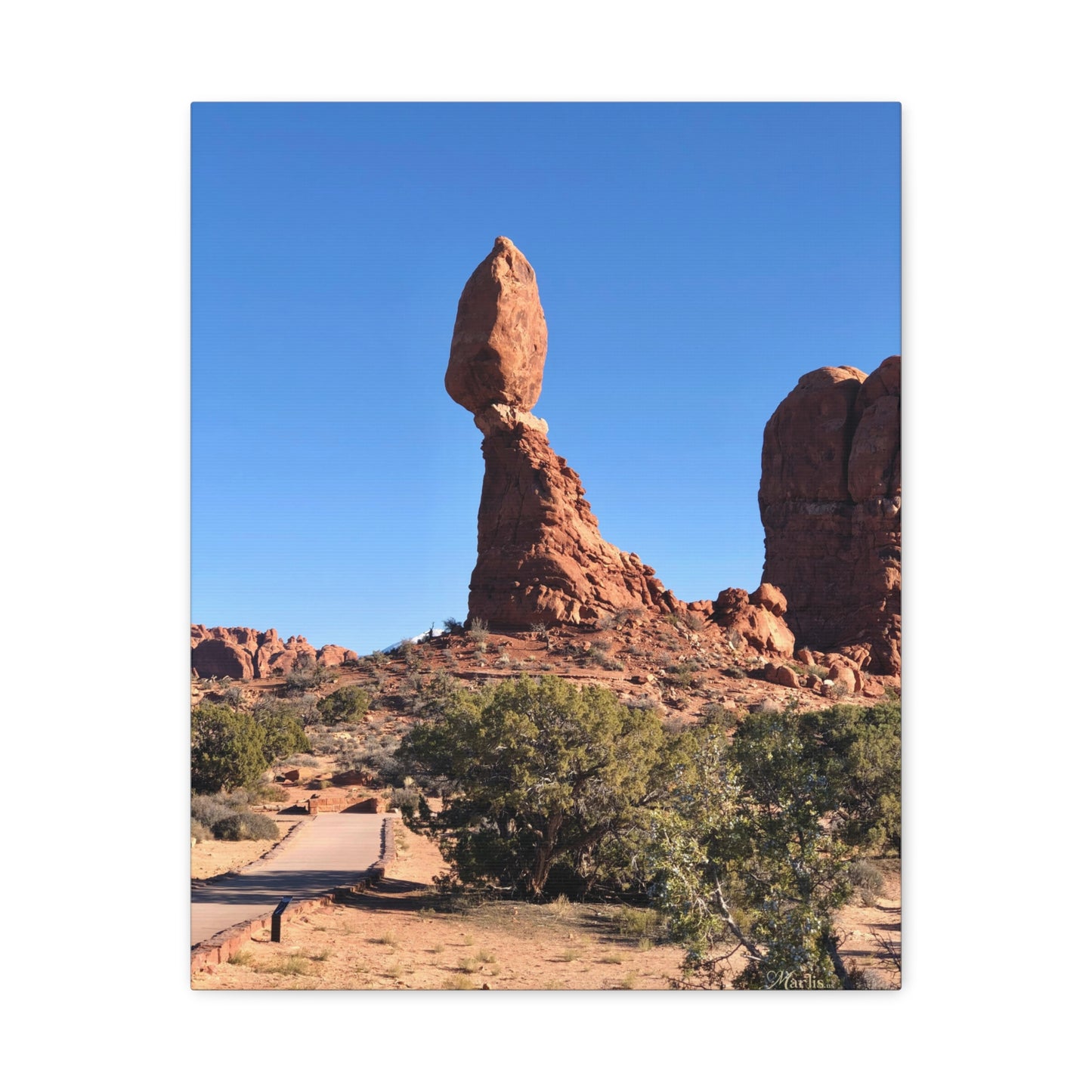 Balanced Rock Arches National Park Canvas Wall Art