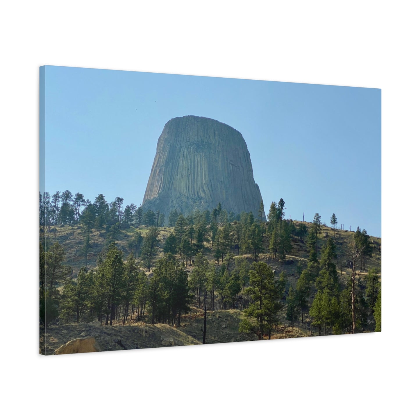 Devils Tower Wyoming Canvas Wall Art