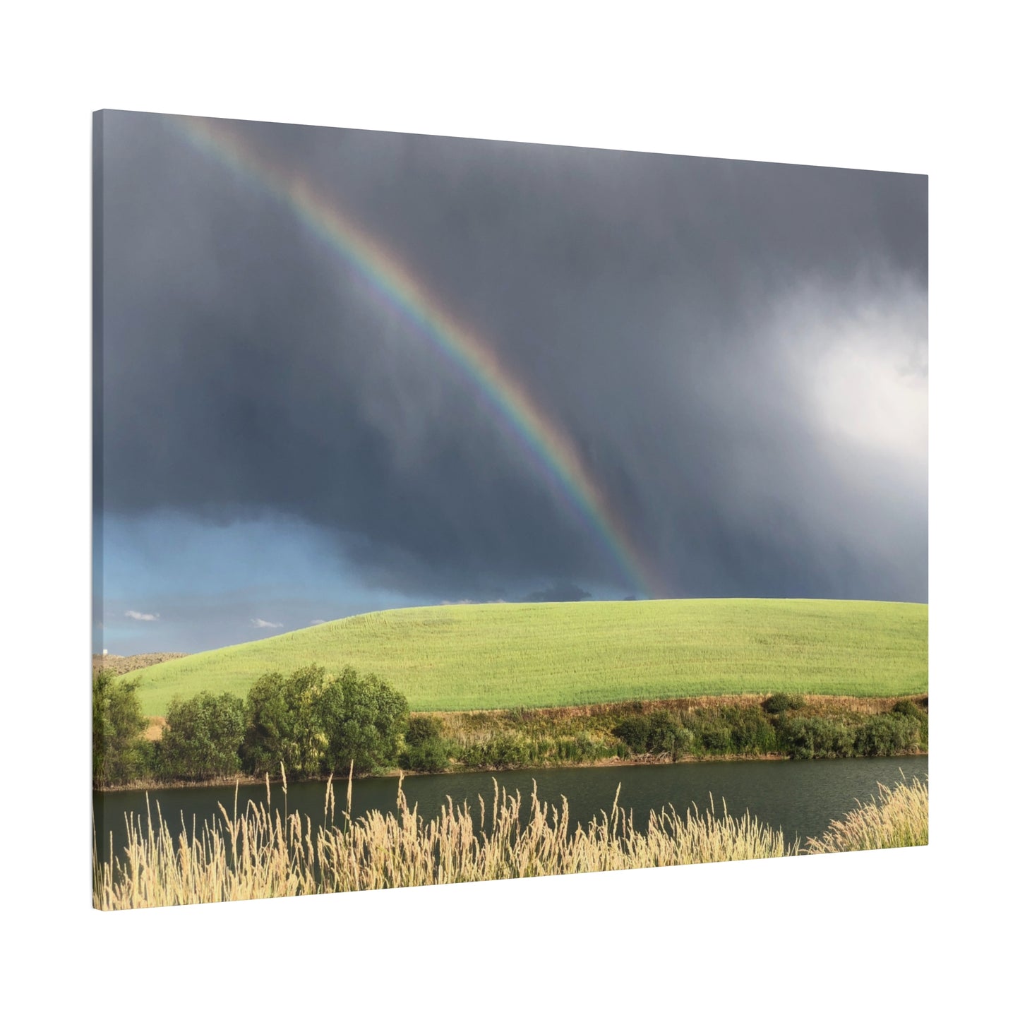 Between Places | Rainbow | Canvas