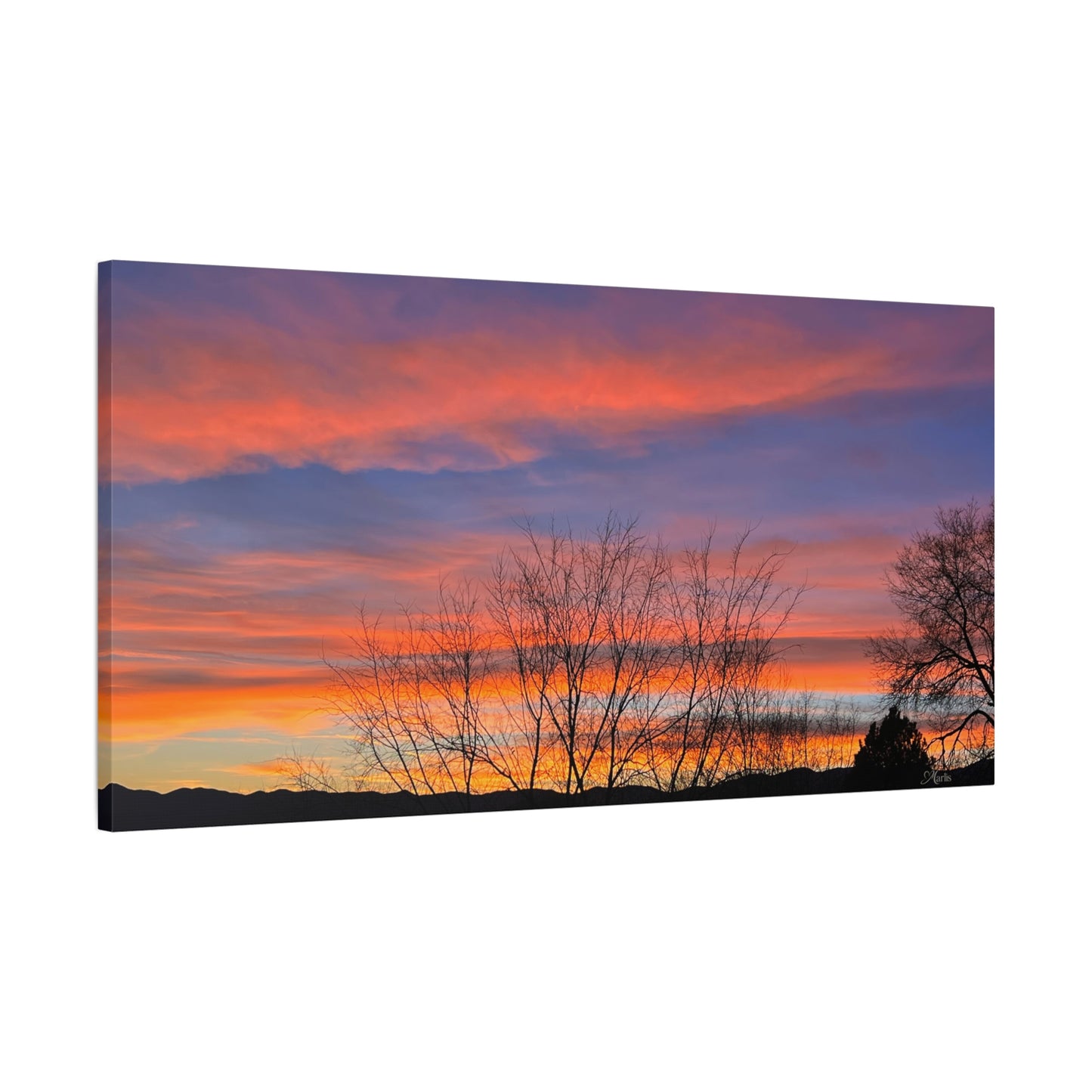 Sunset Silhouette · Idaho · Canvas