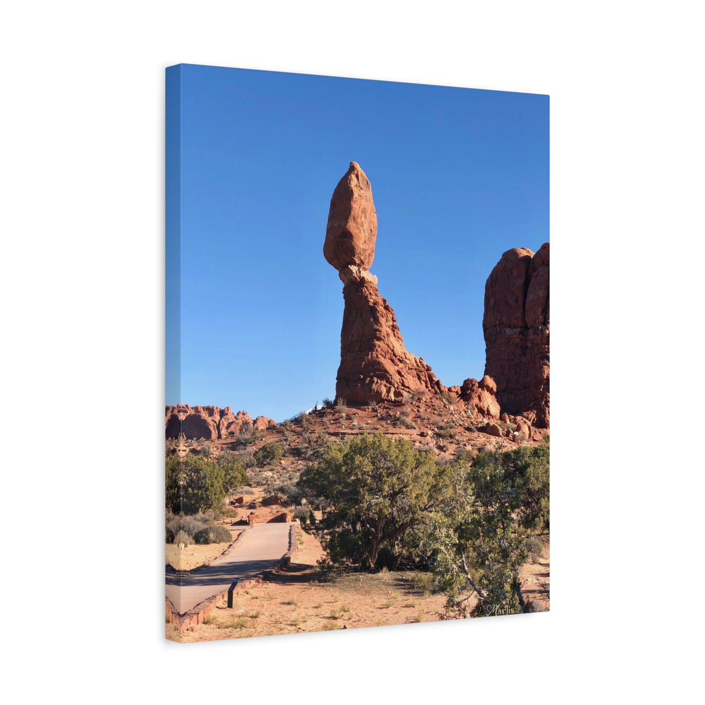 Balanced Rock Arches National Park Canvas Wall Art