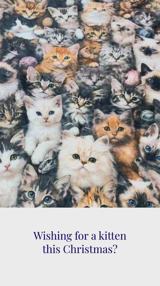 Kitten Cuddle Nest — Immersive Seek-and-Find Blanket